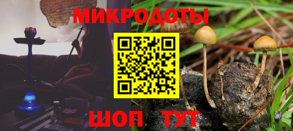 Ишимбай  Галлюциногенные грибы Psilocybe  Галлюциногенные грибы прущие грибы  Вход с VPN 